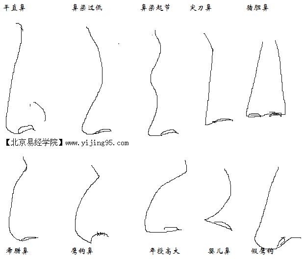如何通过鼻子看一个人！