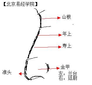 如何通过鼻子看一个人！