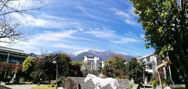 小升初报名名校我只能给你介绍这么多