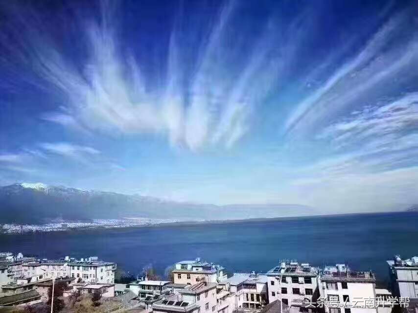 小升初报名名校我只能给你介绍这么多