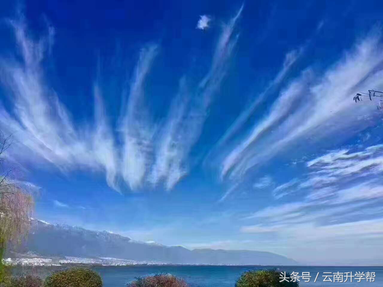 小升初报名名校我只能给你介绍这么多