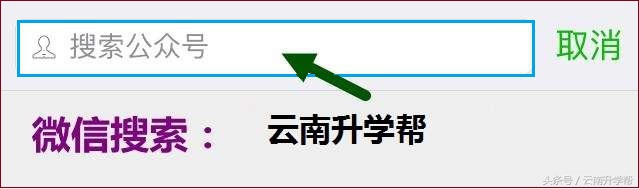 小升初报名名校我只能给你介绍这么多