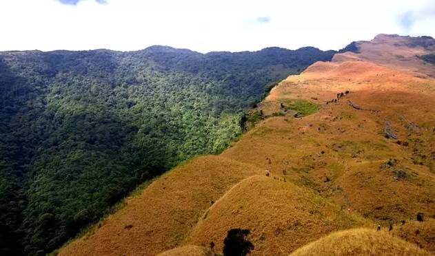 公母山属十万大山的余脉,海拔高达1358米,是崇左市辖区内的第二高山