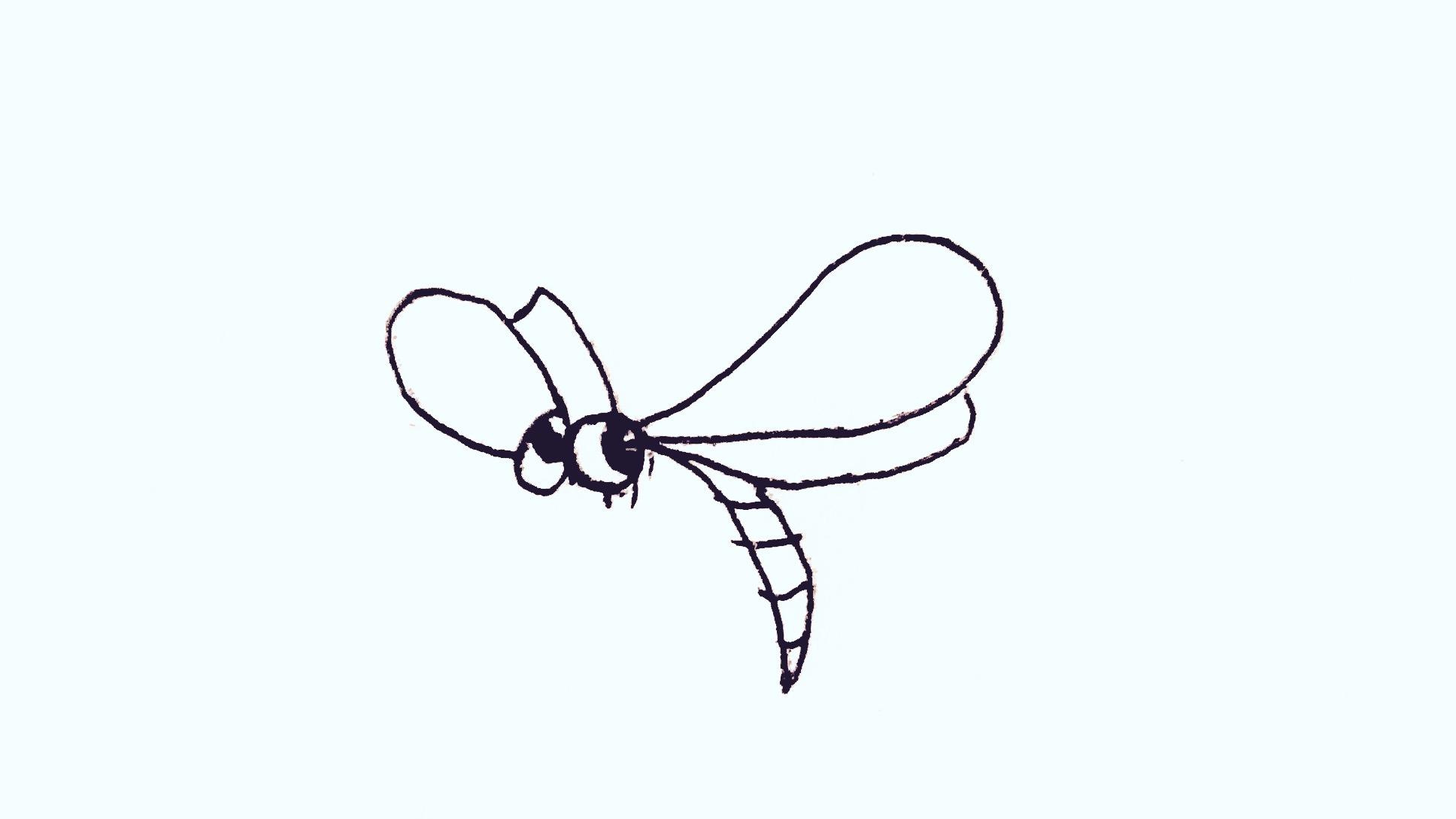 儿童简笔画 宝宝学起来 超级简单的蜻蜓画法