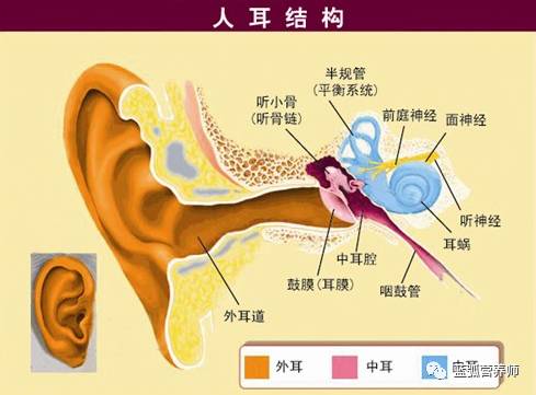 我用一招治好了宝宝的中耳炎，你也可以这样做！