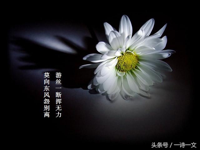 清明｜愿您在天堂，一切都好