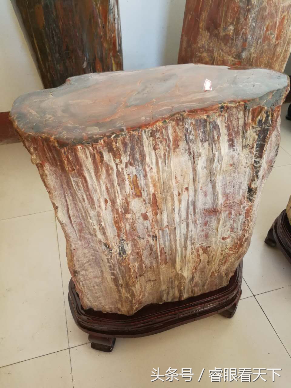 新疆硅化木一斤多少钱(硅化木) - 价格百科