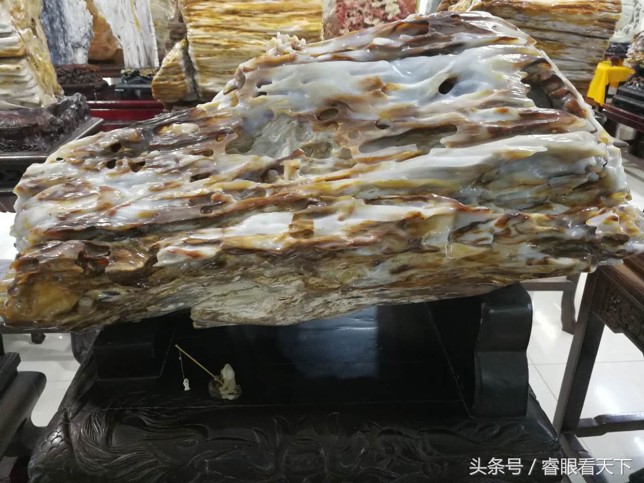 新疆硅化木一斤多少钱硅化木