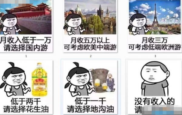 月入一狗月入一蛆月入一妹是多少錢 月入一X是什么梗出自哪里