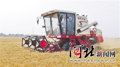 燕趙田野上演“進(jìn)擊的農(nóng)機(jī)” 河北農(nóng)機(jī)制造的風(fēng)口來了？