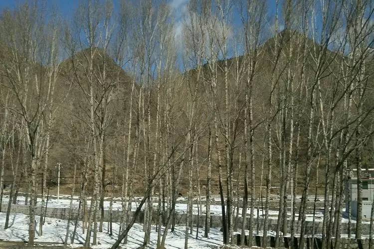 史宓：《晋善晋美 境灵境秀》