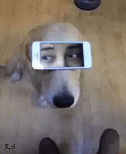 十条笑话：给女友刷了个钻戒，后来女友跟别人跑了