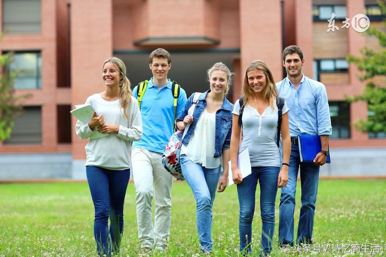 8名大学生在学校养鸡（生活与创业）