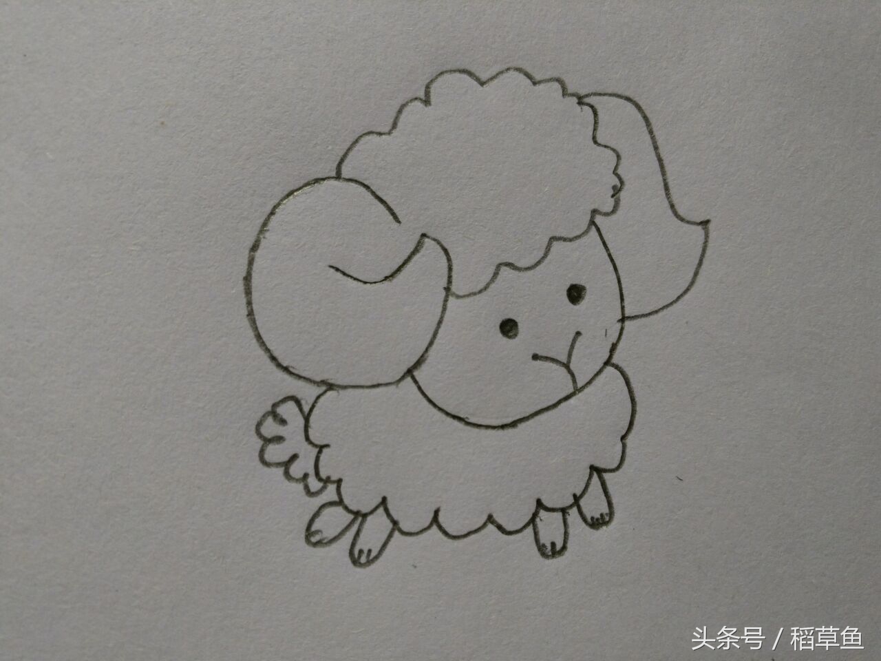 慢羊羊简笔画(简笔画12生肖的过程步骤 放大招了