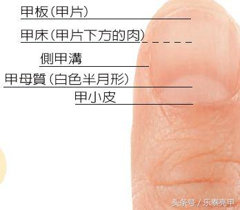 治疗灰指甲为什么很长时间还不能康复？