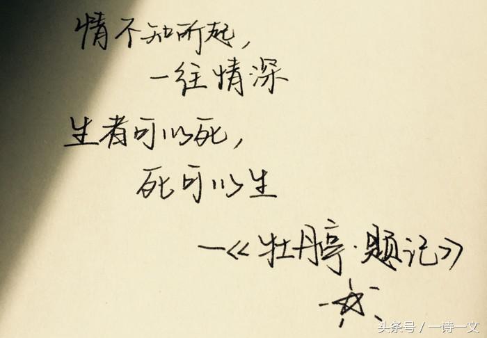 有你陪伴的那些日子，时光如初，岁月静好