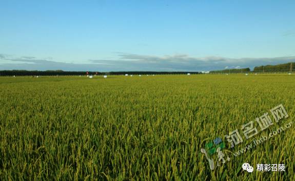 精彩召陵 新闻速览