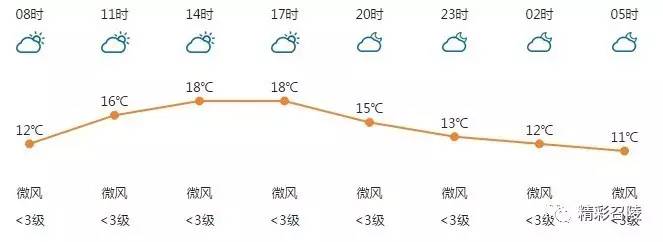 精彩召陵 新闻速览