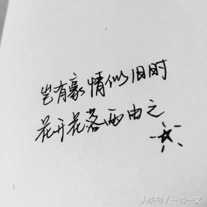 有你陪伴的那些日子，时光如初，岁月静好