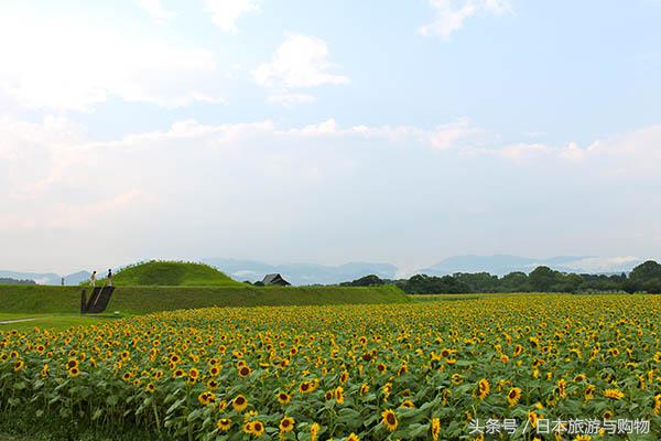 日本旅游九州自由行攻略：宫崎县，悠哒哒的治愈系目的地
