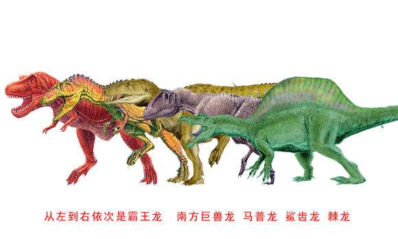 在恐龙世界的世界里,最为出名的食肉恐龙——霸王龙,一直被我们认为是