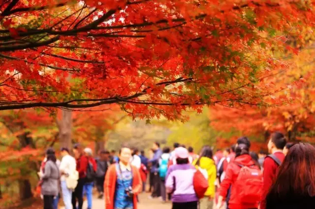 《人民的名义》取景地居然在南京，追剧追的更具体了