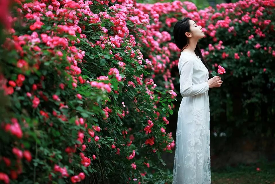 午安心语170426：请许我，风烟俱净的安然