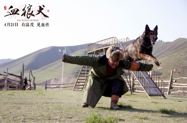 《雪狼犬》黄宏老师精彩呈现：一个爱狗甚过爱家人的英雄悲歌