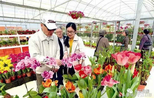 早安武汉︱辅警执法遭辱骂情绪失控，脱掉警服回击