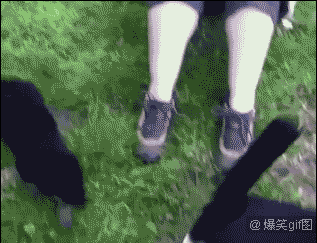 菠蘿是什么意思很污,菠蘿是什么意思很污jy