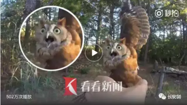 郑重提醒:今天是国际不打小孩日!打过和被打过的,请看过来
