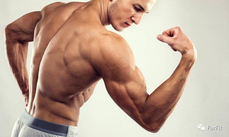 肌肉的核心力量強大才能讓你的健身水平晉級！怎麼提升？