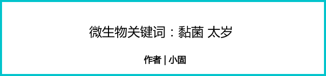 不腐不臭，割后自愈，神秘而罕见的“太岁”到底是什么东西？