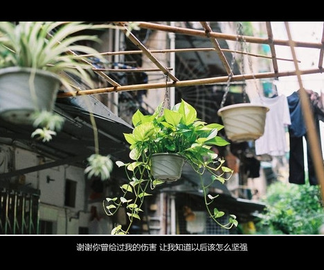 唯美语录，无论你做什么，只要你还记得我们的约定