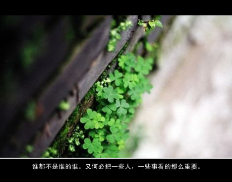 唯美语录，无论你做什么，只要你还记得我们的约定