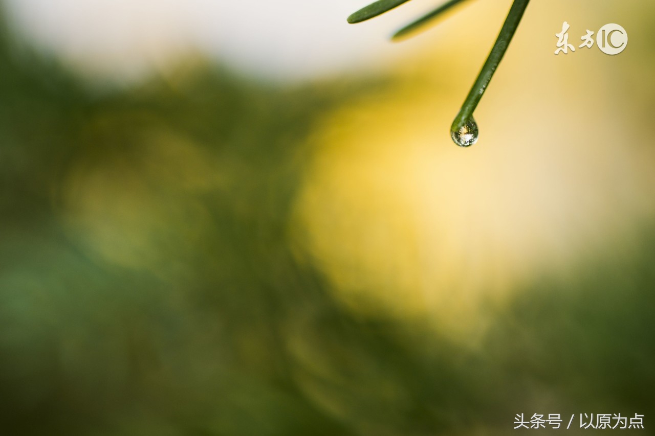 58句关于雨的唯美句子，如41度的夏天的一场雨