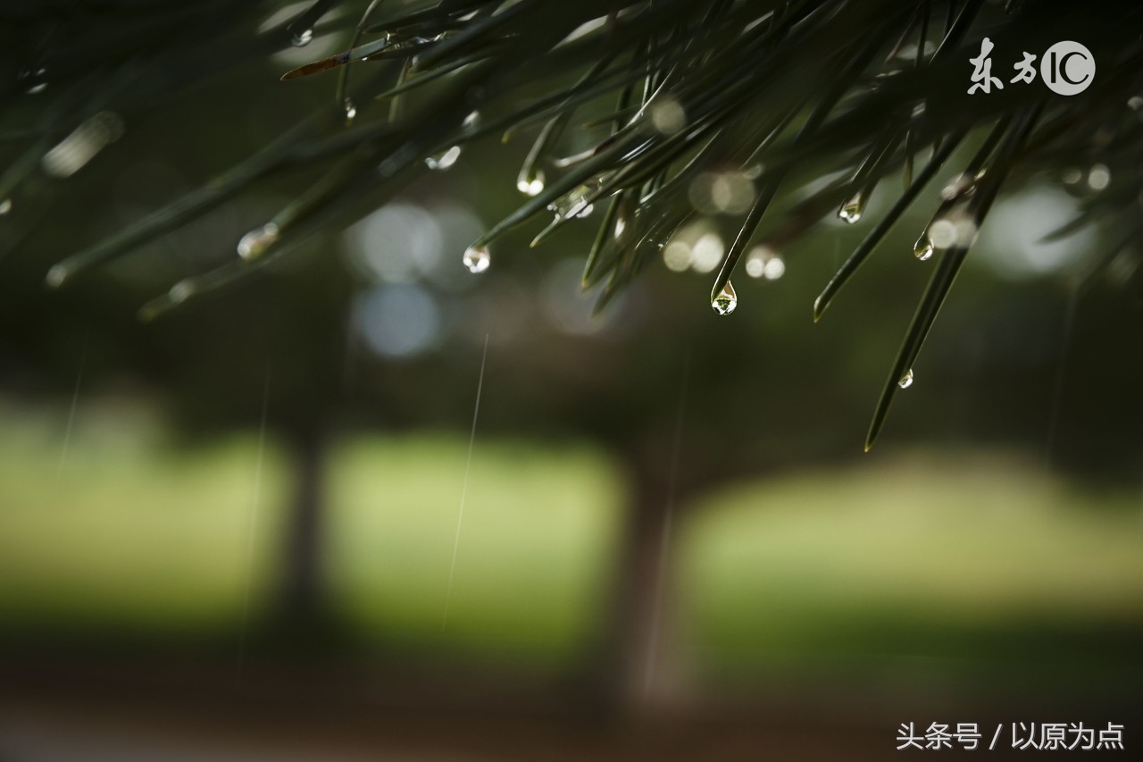 58句关于雨的唯美句子，如41度的夏天的一场雨