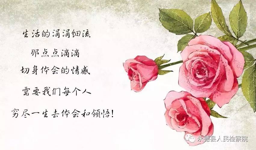 关于母亲