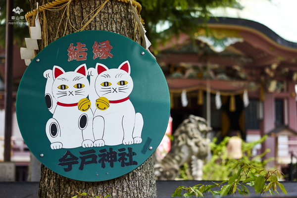 日本东京今户神社，招财猫的发祥地，最灵验的姻缘神社