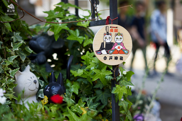 日本东京今户神社，招财猫的发祥地，最灵验的姻缘神社