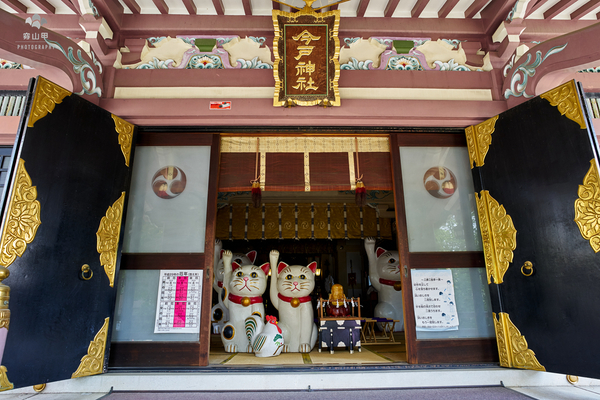 日本东京今户神社，招财猫的发祥地，最灵验的姻缘神社(幽灵线东京野户神社)