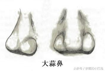 富贵在鼻：4种大富大贵的鼻相特征，你有吗？