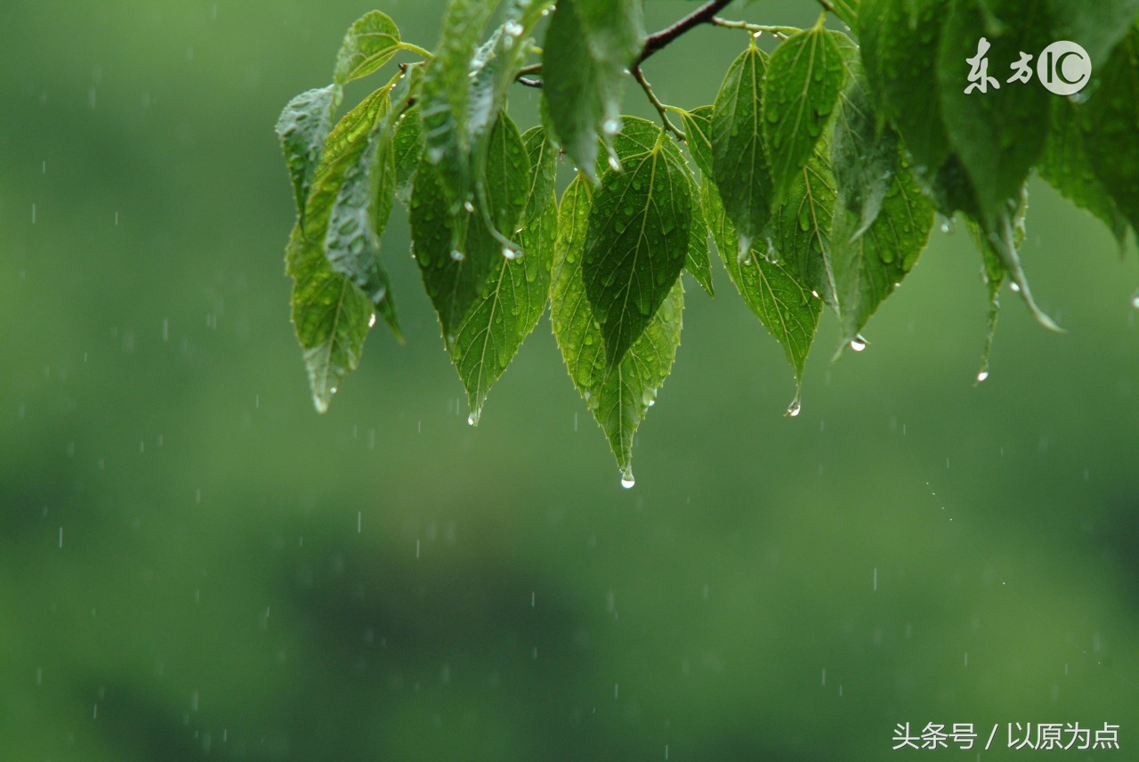 58句关于雨的唯美句子，如41度的夏天的一场雨