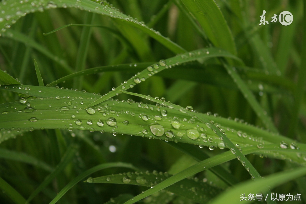 58句关于雨的唯美句子，如41度的夏天的一场雨