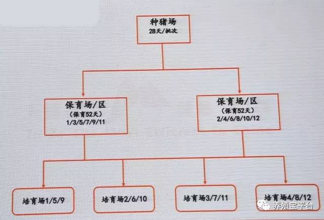 2017猪业大会专家系列6：猪场工程建设与管理专场