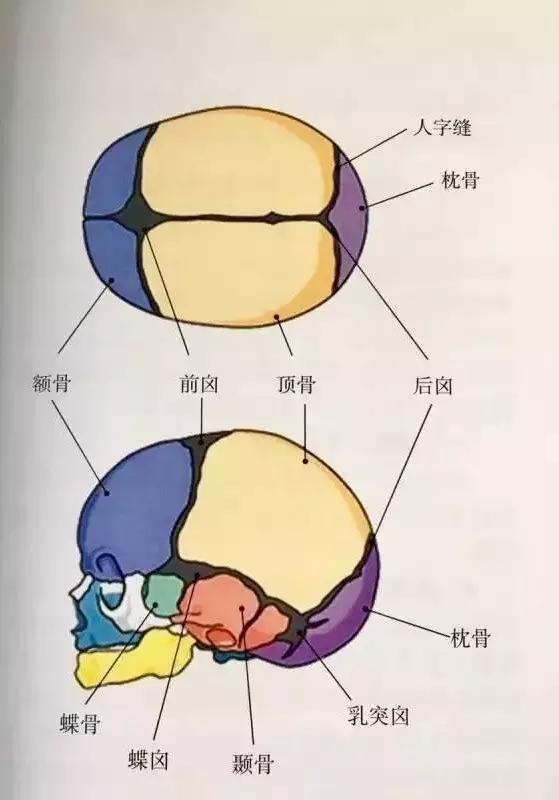 婴儿囟门凹陷（婴儿囟门是怎么回事）