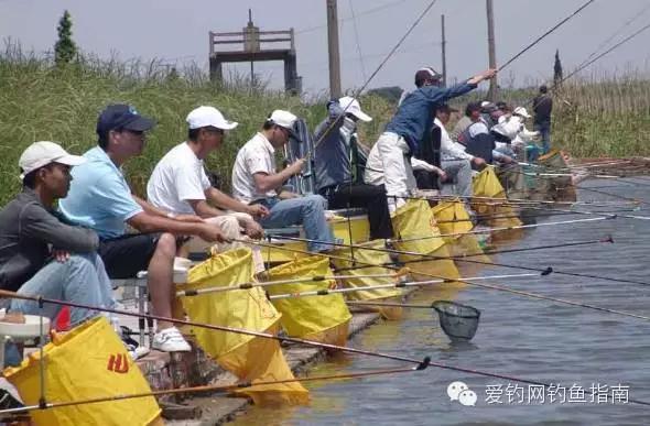 二十四节气钓鱼节气与钓鱼淡旺季的歇后语都在这里了！