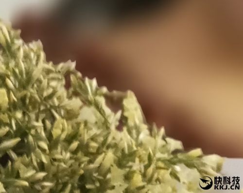 2599元！金立S10体验评测：全球首款四摄像头手机