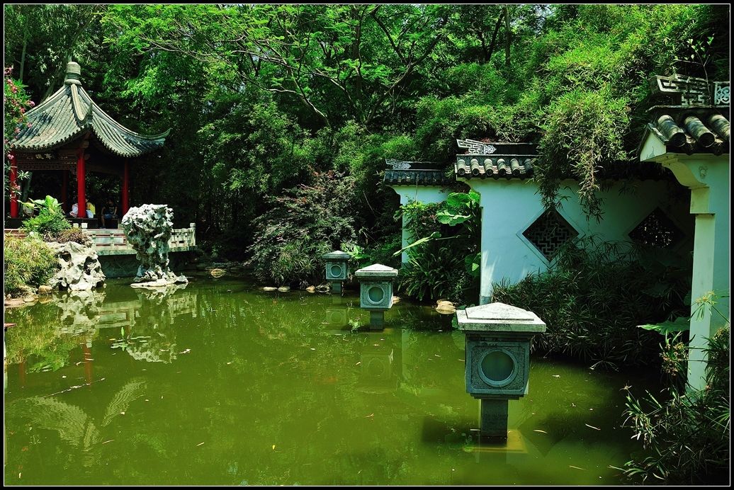 免费！免费！深圳10大免费景区！此时不去更待何时？！