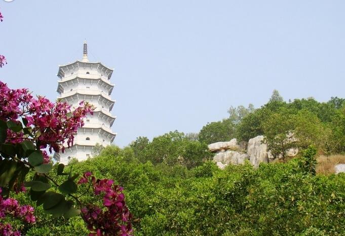 免费！免费！深圳10大免费景区！此时不去更待何时？！